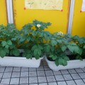 dscf25351