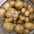 dscf3211