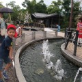 dscf4048