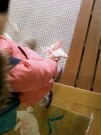 手裏剣-0 手裏剣-0