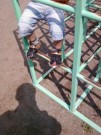 ichi