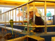dsc07394