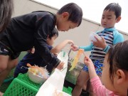 dsc08617
