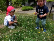 dscf9687
