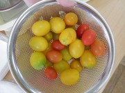 dscf0085