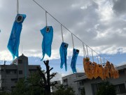 img_16701