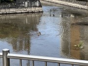 img_29721