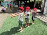 img_20461