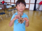 dscf2866
