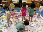 img_22611 img_22611