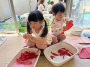 img_8491 img_8491