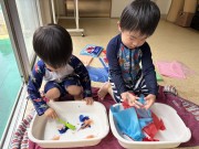 img_8504 img_8504