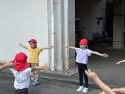 img_9239 img_9239