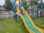 img_2743