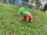 img_2745