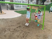 img_27461