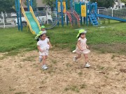 img_27541